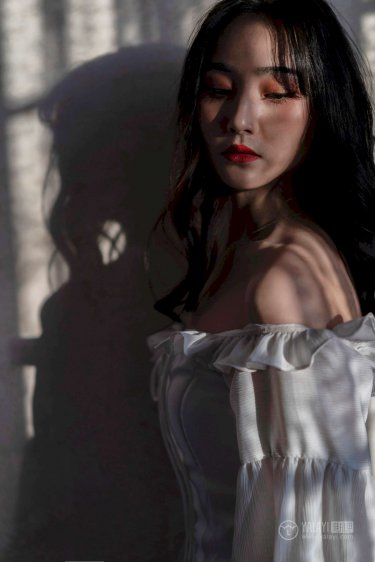 司马懿之虎啸龙吟